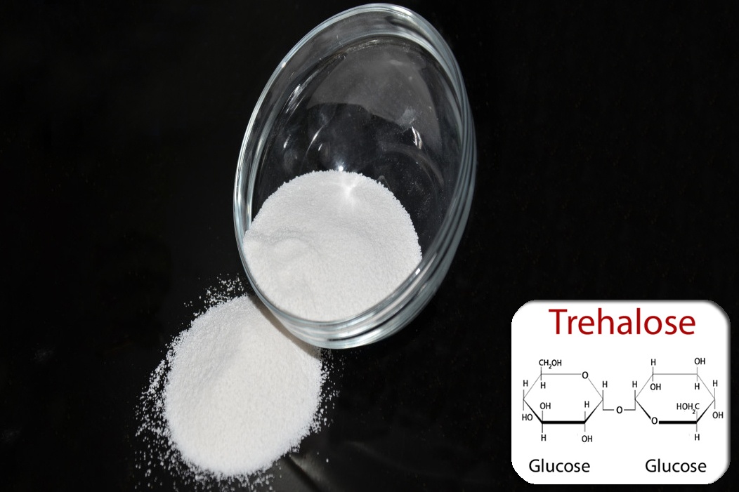 Trehalose là gì?
