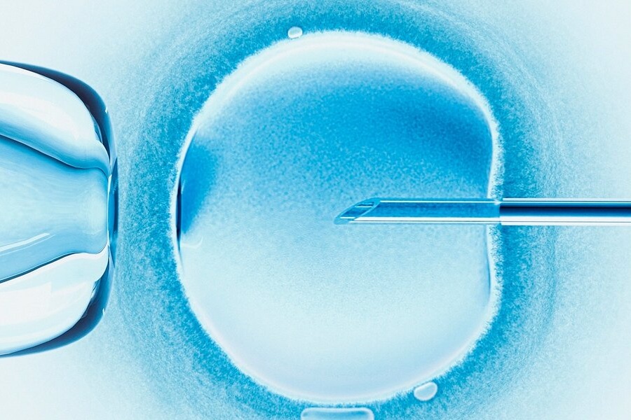Thí nghiệm thụ tinh IVF giữa trứng và tinh trùng của những người đàn ông có bệnh di truyền