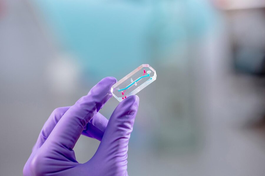 Nghiên cứu sản xuất chip sinh học trên nền công nghệ DNA microarray
