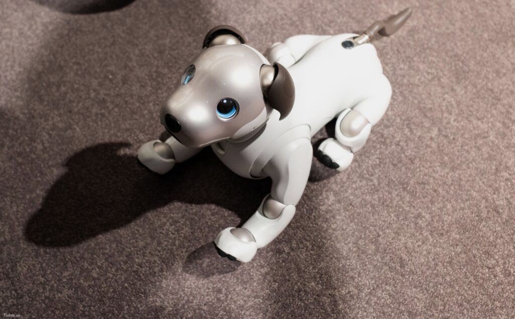 Hình ảnh chó robot